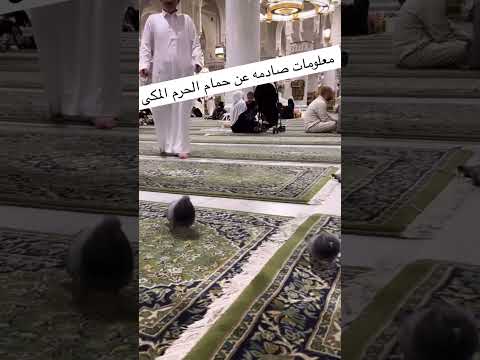 معلومات صادمه عن حمام الحرم المكى مكة الحرم المكي