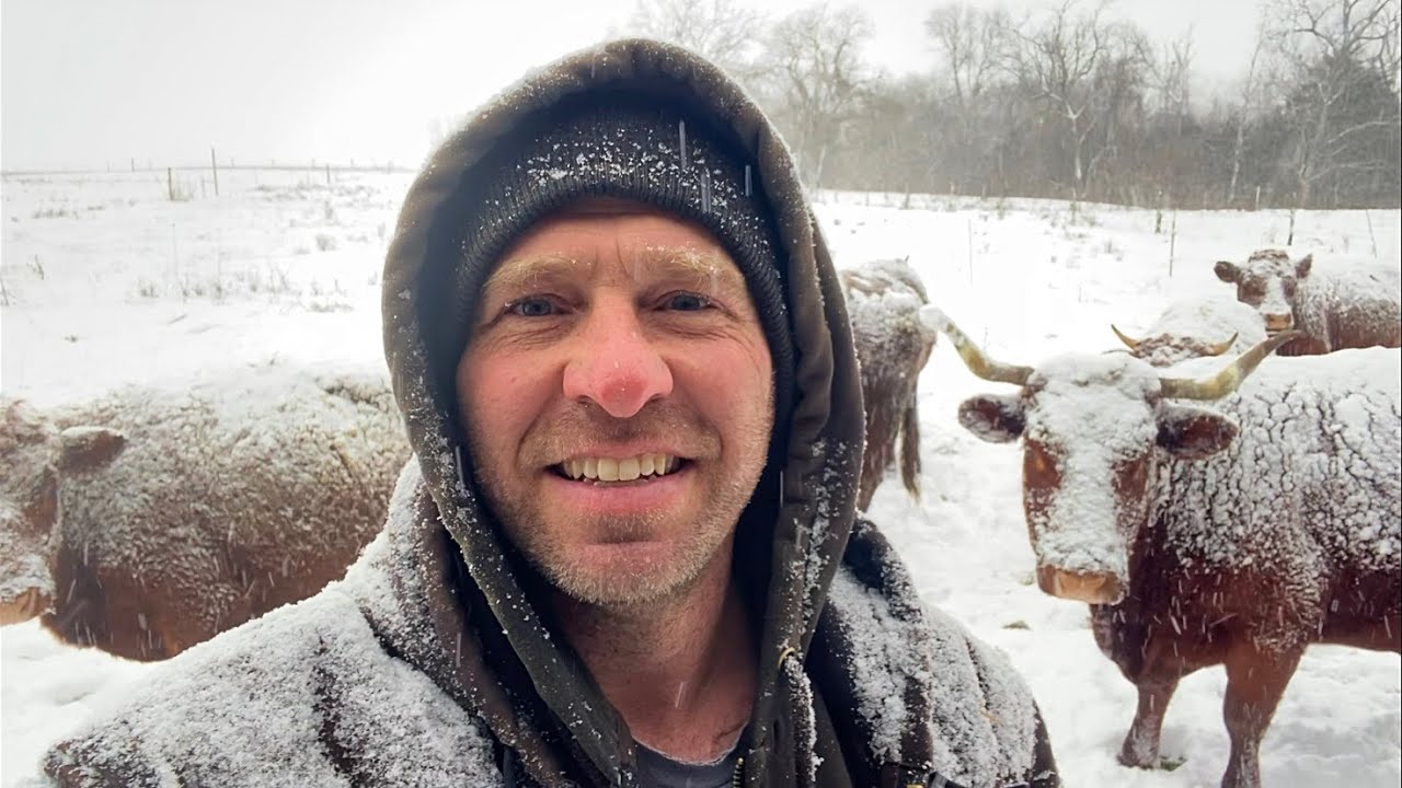 The Real Cost of Windchill 