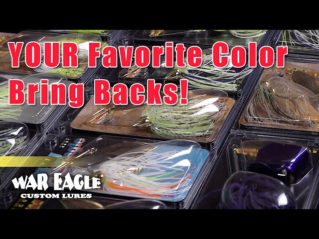 War Eagle Brings Back Fan Favorites! 