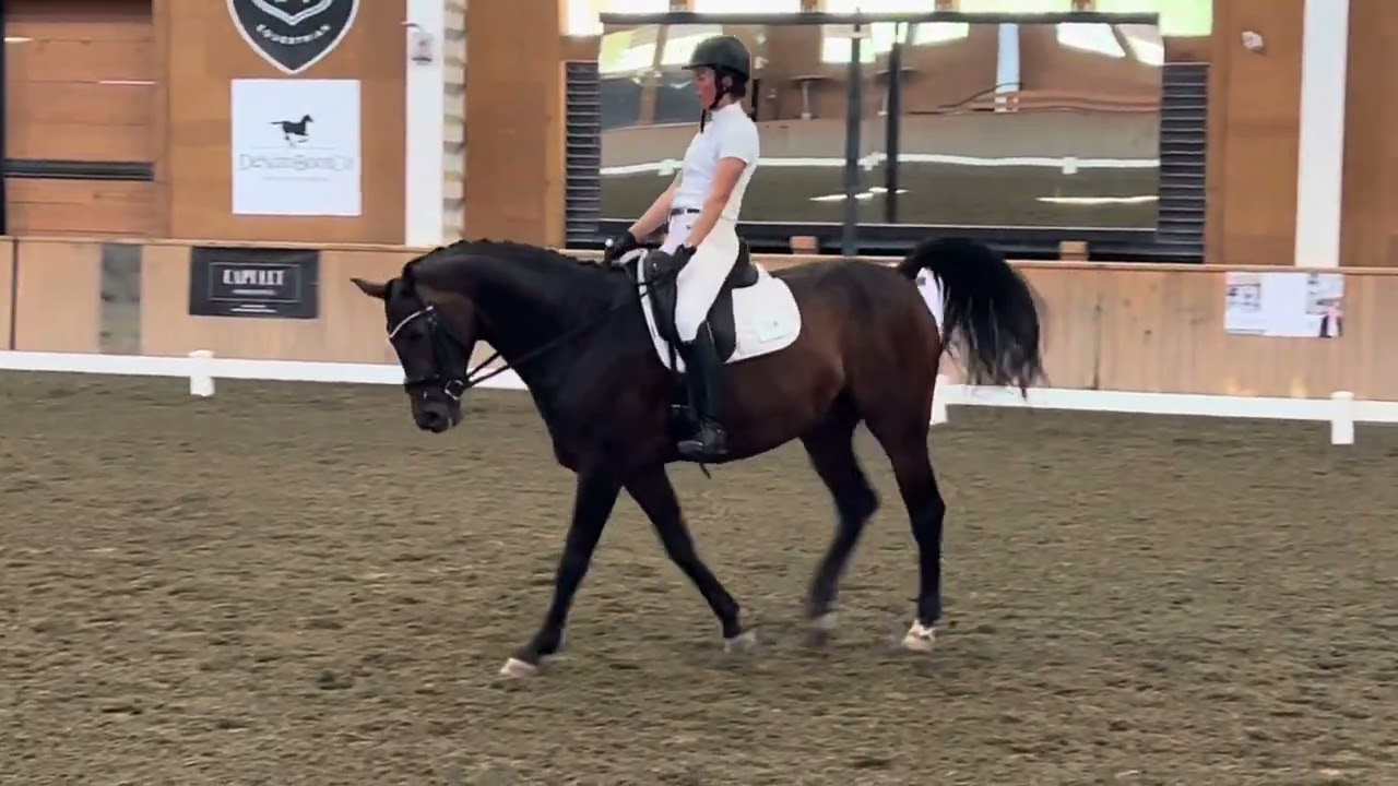 High Point Dressage Sofi on Donahue Third Level Test 2, score  71.98%