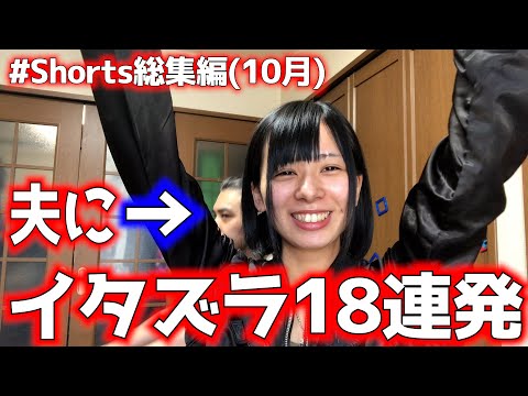 ほぼ毎日夫の邪魔をしつづけてみたｗｗ