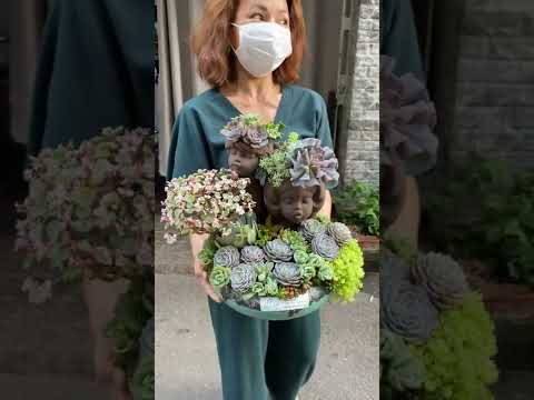 Video Mẫu Giỏ Hoa Đẹp Mừng Khai Trương Từ Sen Đá Tươi Dai và... - youtube