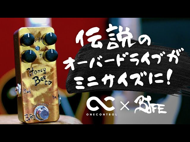 PBA No.47 One Control Honey Bee OD 4K Mini Standard | Sakamoto Natsuki