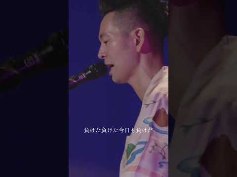 【2025/11/23まで特別公開！】結成25周年記念公演「25th Anniversary ハンバート家の夏祭り」のライブ映像を公開中！🎁 #ハンバートハンバート#ハンバート入門 #ばけばけ