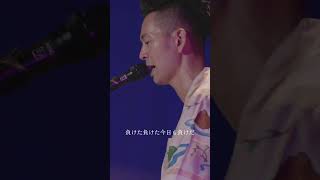 【2025/11/23まで特別公開！】結成25周年記念公演「25th Anniversary ハンバート家の夏祭り」のライブ映像を公開中！ #ハンバートハンバート#ハンバート入門 #ばけばけ