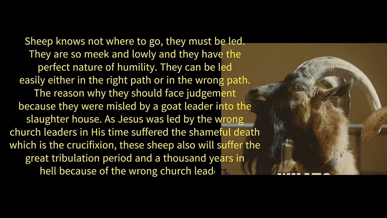 The Parable Of The Sheep And Goat In Matthew 25 35 46 YouTube the-parable-of-the-sheep-and-goat-in-matthew-25-35-46-youtube