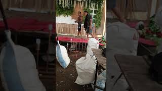 Bang Kamris