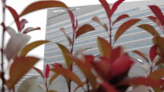 Climaveneta SUSTAINABLE COMFORT
