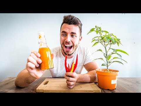 Videó: Lehet enni egy habanero paprikát?