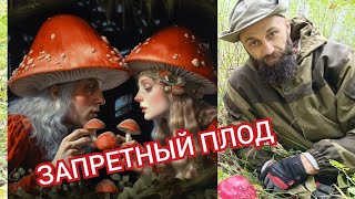 ТАЙНЫЕ ЗНАНИЯ ИЗ БИБЛИИ | АДАМ И ЕВА ВКУСИЛИ МУХОМОР И ПОЗНАЛИ ДОБРО И ЗЛО | БОГ ЕСТЬ ЛЮБОВЬ