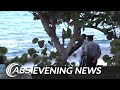 Abs evening news local segment  weather report 542024