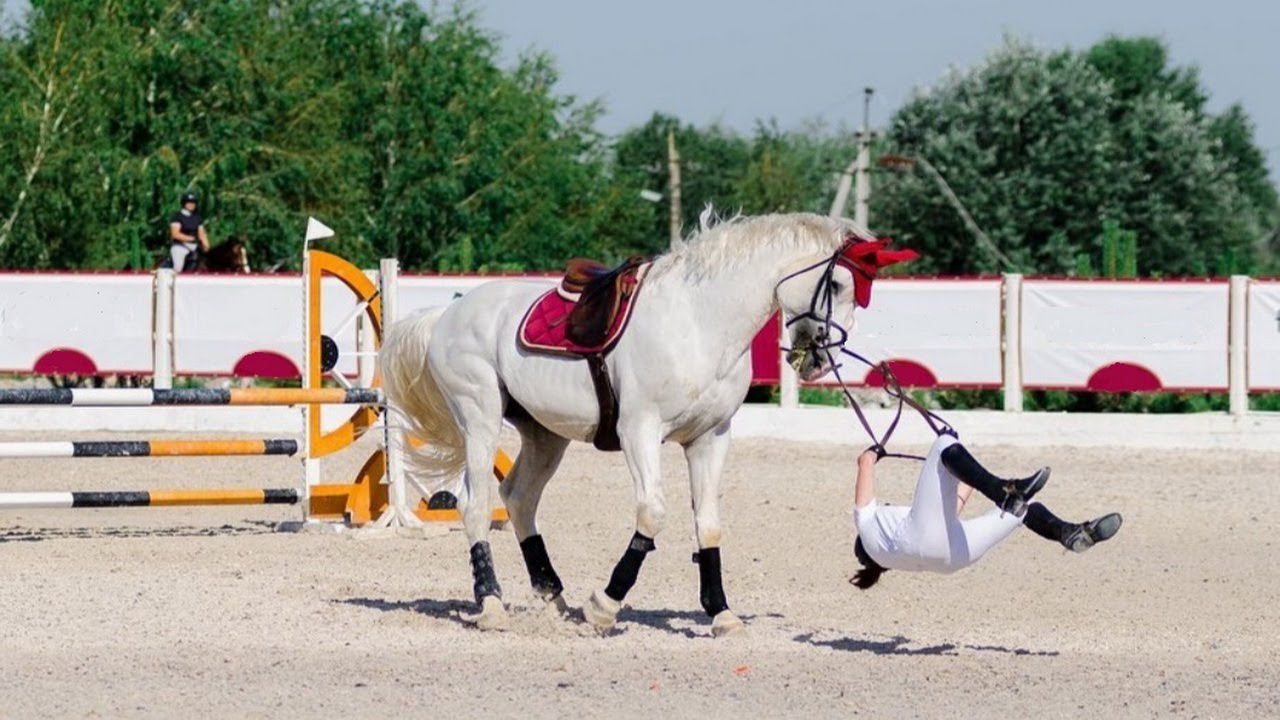 Funny And Cute horse jump fence. Horse Fails