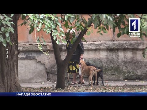 Video: Oglejte Si Nasvete Za Več Igralcev Dogs 2: Razloženo Sodelovanje, Brezplačno Gostovanje, Taksistični Napadi In Podobe