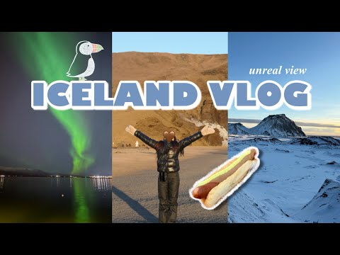 アイスランド vlog 2026❄️念願のオーロラ,氷の洞窟,滝,Reykjavik