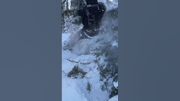 Tackling￼ the tree that got me stuck! 😅 #snowmobile #johncena #shortvideo #viral #reels #fyp