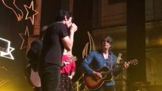 The Common Linnets - Heart of Gold (Haarlem 30 April 2026)