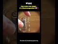 Magic? Nope… Pure Electromagnetism! 🤯🧲 #shorts #viral