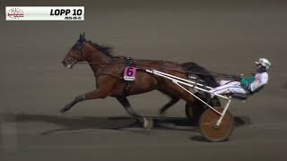 Vidéo de la course PMU PRIX BETELGEUSE