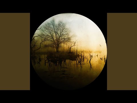 Knobs — Feed Your Need