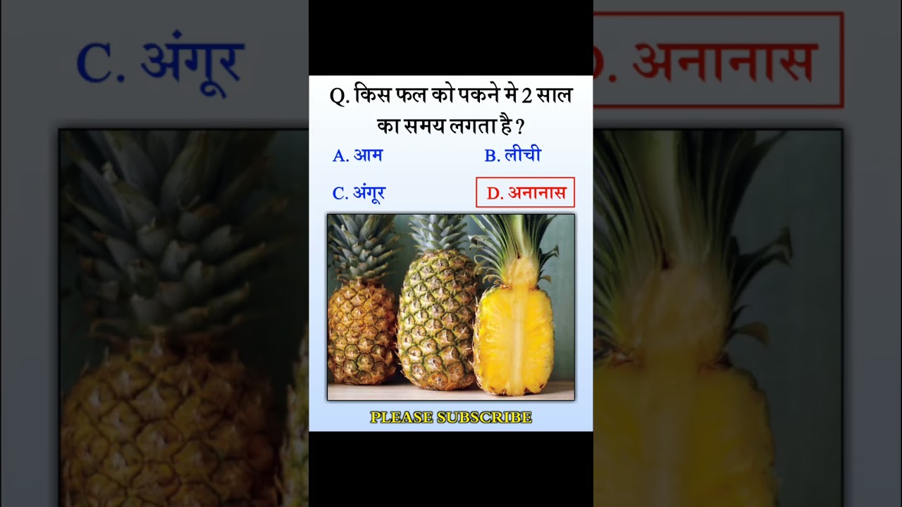 Kaun Banega Crorepati | Gk Question | KBC Question | General Knowledge | Hindi Gk |  HB STUDY