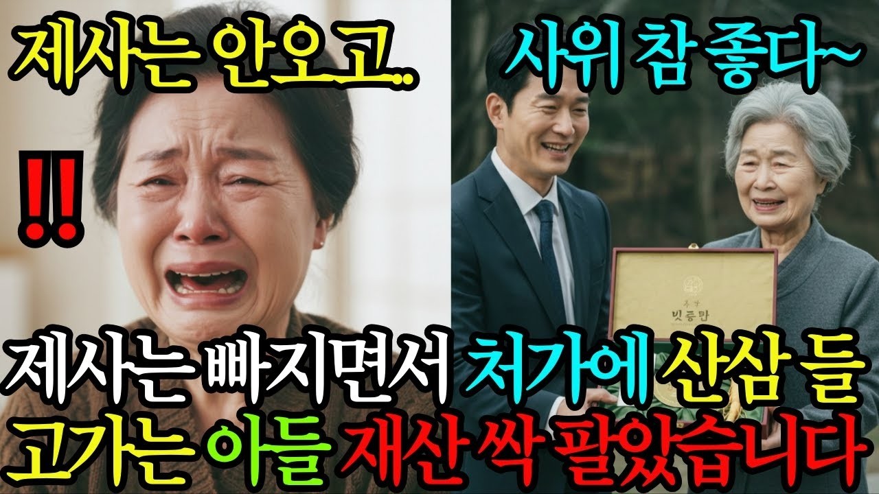 6년째 제사는 빠지는 아들, 처가에는 산삼 사들고 가길래 재산 정리해버렸습니다