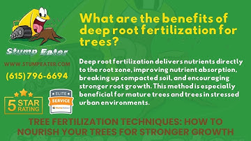 What are the benefits of deep root fertilization for trees?