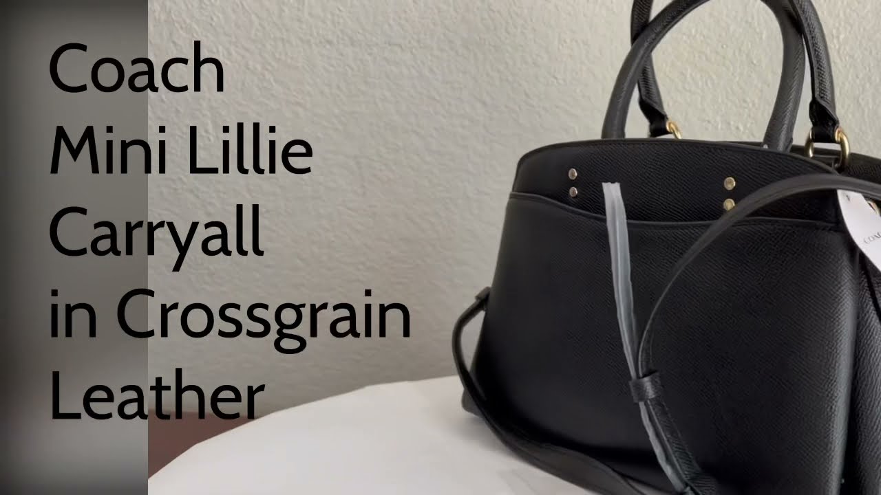 Coach Mini Lillie Carryall in Colorblock