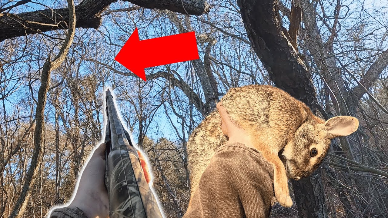 Hunting Rabbits & Squirrels on the FARM (Catch and Cook) 2025 - YouTube