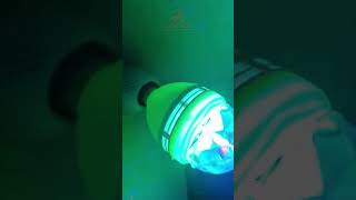 ROTATING PARTY BULB