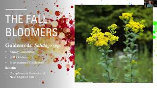 Color Pallete of Fall Landscapes: A tale of Fall colors
