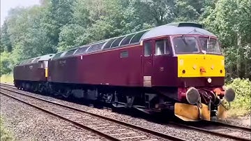 Modelling Inspiration With Class 37, 47, 56, 66, & 70 Thrash Through Sutton Park