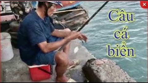 Câu Cá Biển | Câu Cá Giải Trí Ngày Động Gió Cùng Anh Em Cần Thủ Bên Cảng Cá Đại Lãnh