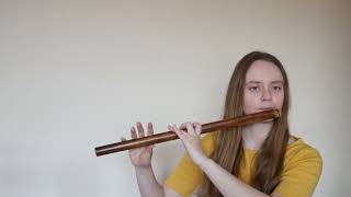 Kesariya Brahmastra Bamboo Flute Cover