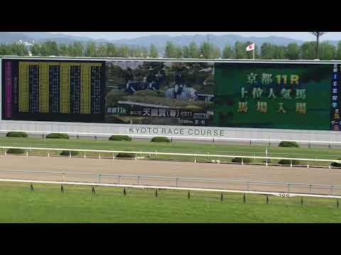 天皇賞・春 本馬場入場
