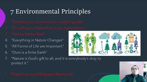 7 Environmental Principles