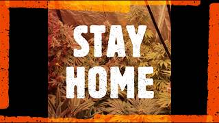What YOU can do..More Info ON Covid-19 With Dutchman420