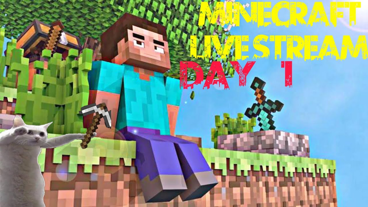 Minecraft Live Stream Day 1 #1 - YouTube