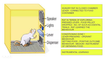BPCC-101 UNIT-6 PART-4 LEARNING AANCHAL TYAGI [IGNOU BAPCH]