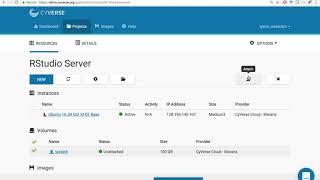 Celebrity CyVerse Focus Forum Docker Rstudio-Server demo Wealth