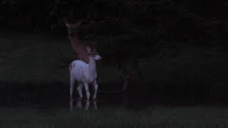 At Dusk, After Heavy Rain