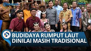Gibran Dorong Hilirisasi Rumput Laut Saat Dialog dengan Petani di Rote Ndao: Dinilai Tradisional