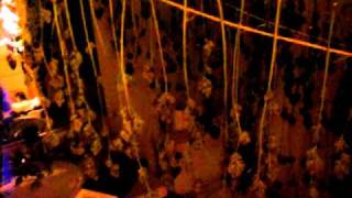 original gangstas, part 11; drying