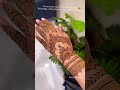 party mehndi designs video viral #muskanmehndi100k #mehndi #arabic #art
