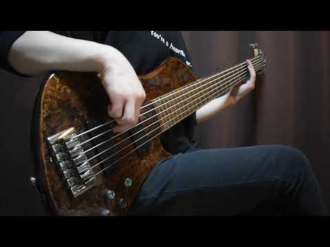 ポルカドットスティングレイ『JET』ベース弾いてみた (Bass Cover)