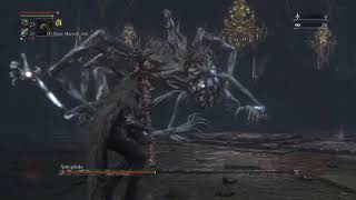 Bloodborne lvl  49 twink defiled amygdala no hit