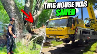 Massive Storm Hits Madison | Tree Crew to the Rescue