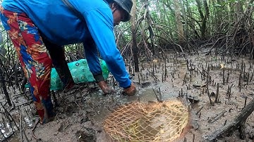 Quẹo Cần Giờ Tập 45: Bẫy Cá Thòi Lòi | Dính Luôn Cua Biển