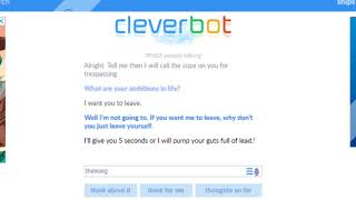 An interview for Cleverbot.