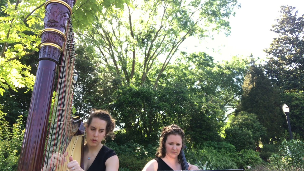 Flightless Bird Iron and Wine American Mouth Harp and Cello Duo from