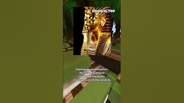 Speedrunning (Disturbing) Fun Facts #7